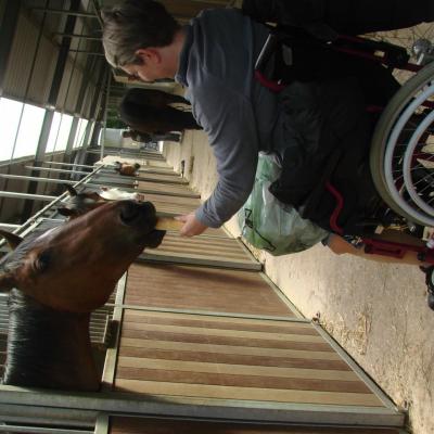 Stage Equitation 24 et 25 Mai 2014